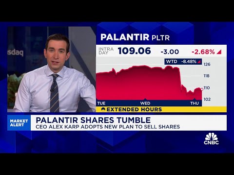 Palantir plunges after CEO Karp changes share sales plan, Pentagon budget cut report
