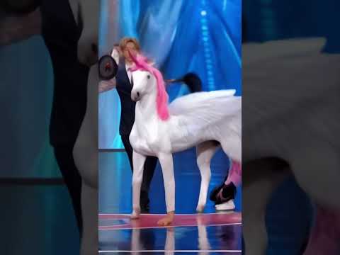 America&#039;s Got Talent Unicorn / Horse 🦄 Magic😱😨 | Duo Schumacher #AGT #americagottalent #magic