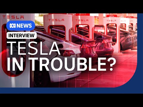 Tesla&#039;s sales plummet, and why Elon Musk is partly to blame | The Business | ABC News