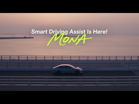 Smart Driving Assist is Here!