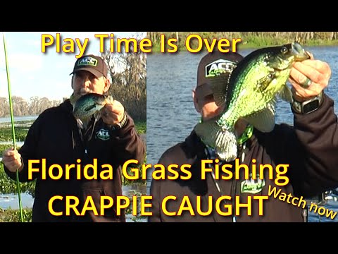 🐟 Grass Fishing Secrets: Crappie Hidden in Florida’s Wild Waters! 🐟