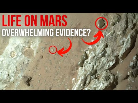 Perseverance Finds Hints of Life On Mars! This Rock Shocked NASA