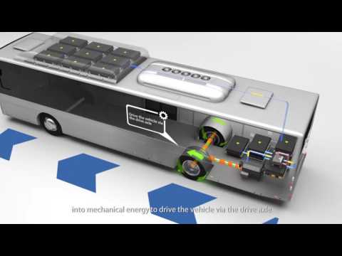 principal of fully electric buses english