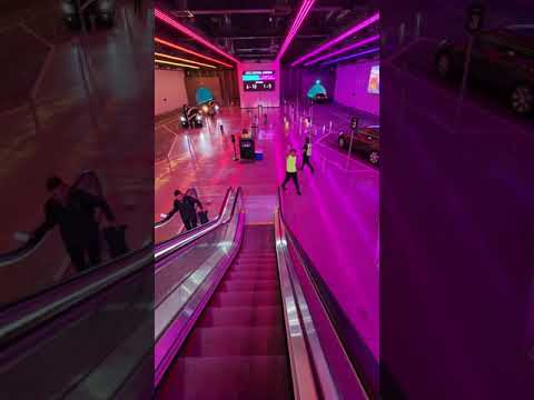 Riding in Elon Musk&#039;s Boring Tunnel!