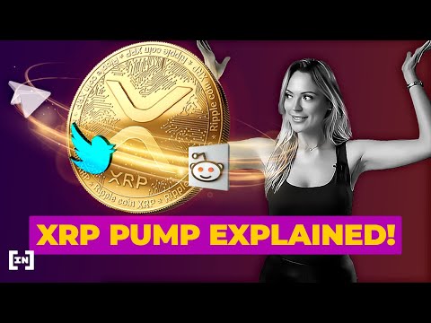 XRP Pump Explained: How Social Media Impacted XRP, Bitcoin &amp; Dogecoin | BeInCrypto News