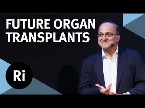 The future of organ transplantation - with Pankaj Chandak