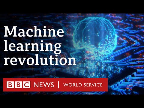 What do tech pioneers think about the AI revolution? - BBC World Service