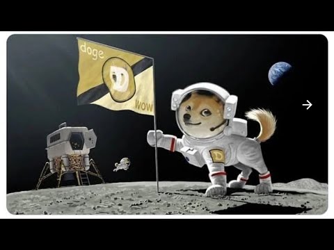 Dogecoin supersurge. It’s the final countdown!!!