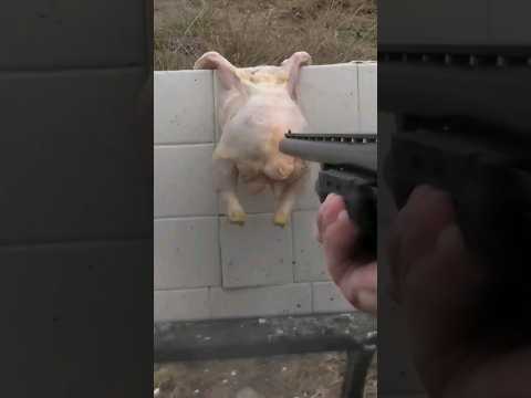 WHY YOU DON&#039;T USE 12 GAUGE SLUGS IN HOME DEFENSE!