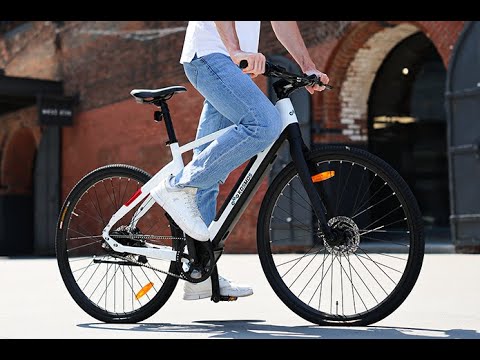 Affordable E-Bike with a Revolutionary Gearbox That Changes Everything!