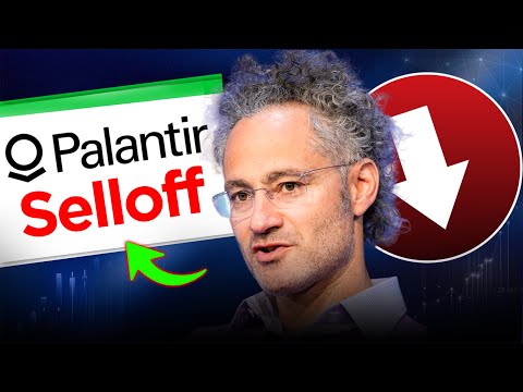 Why Is Palantir Stock Crashing and is it a Buying Opportunity? | PLTR Stock Analysis