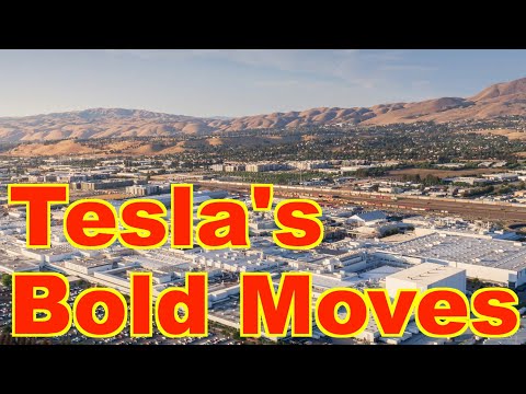 Tesla&#039;s Bold Moves to Dominate the EV Market