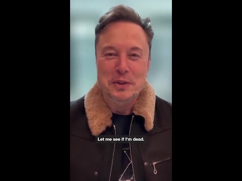 Elon Musk still wants to be Tesla CEO after DOGE backlash