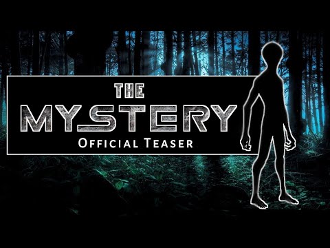 The Mystery - Official Teaser || By FactRoach
