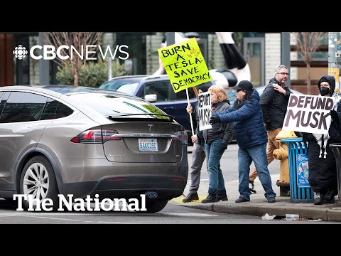 Tesla owners caught up in Elon Musk controversies