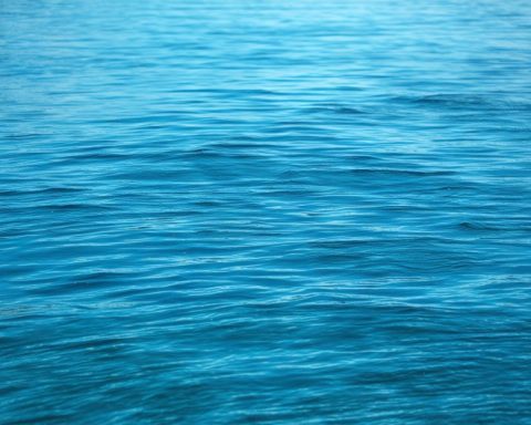 Crypto’s Waters Calm: SEC’s Probes Conclude Amidst Controversy Crypto’s Waters Calm: SEC’s Probes Conclude Amidst Controversy